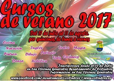 CURSOS DE VERANO 2017