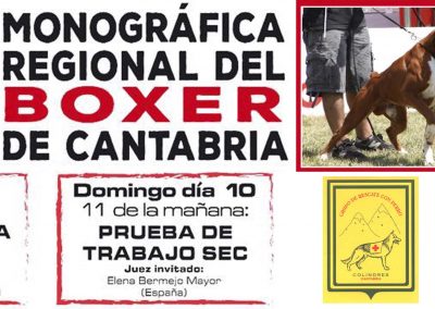 XII MONOGRÁFICA REGIONAL DEL BOXER DE CANTABRIA