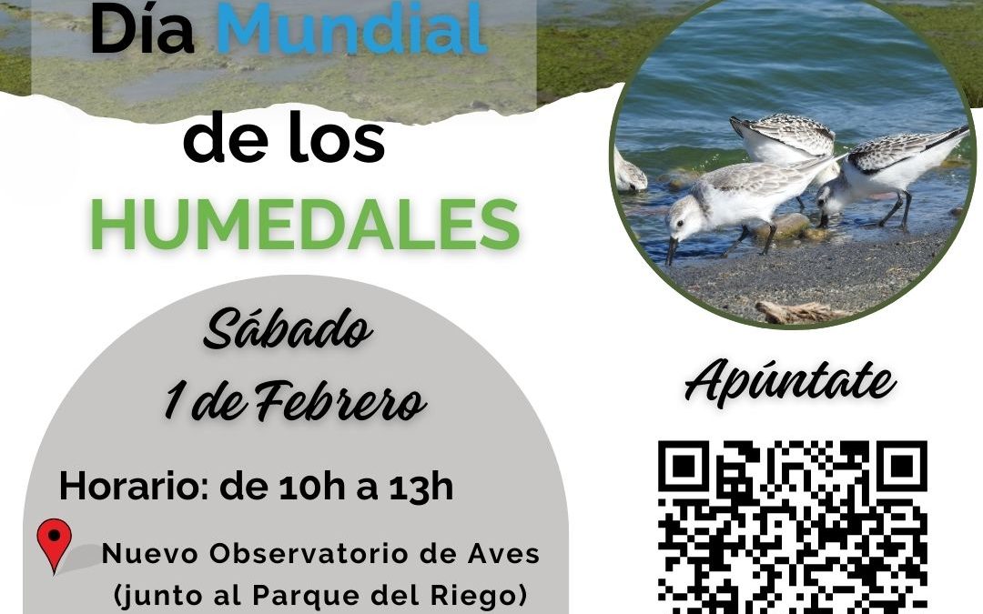 El ayuntamiento de Colindres celebra el Día Mundial de los Humedales con una ruta ornitológica